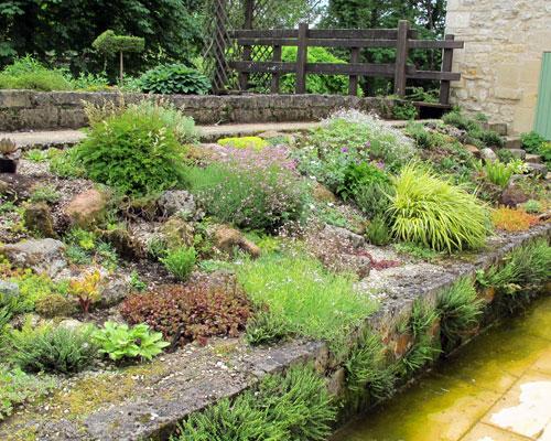 jardin gypsophile