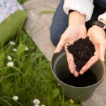 Quels matériaux choisir pour créer un jardin durable, économe et résistant aux saisons