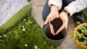Quels matériaux choisir pour créer un jardin durable, économe et résistant aux saisons