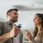 asticot au plafond pourquoi